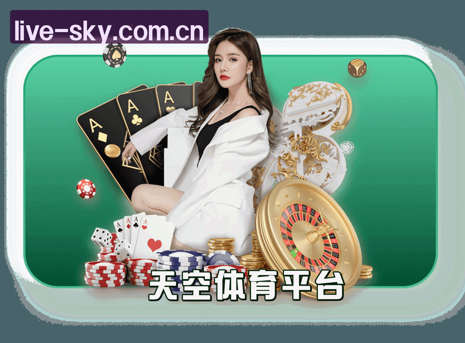 关于我们